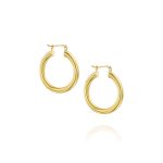 Boomerang Hoop Earrings