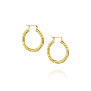 Boomerang Hoop Earrings