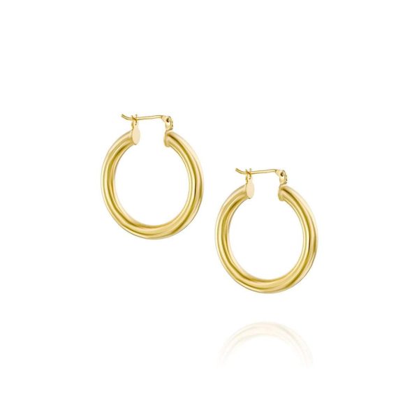 Boomerang Hoop Earrings