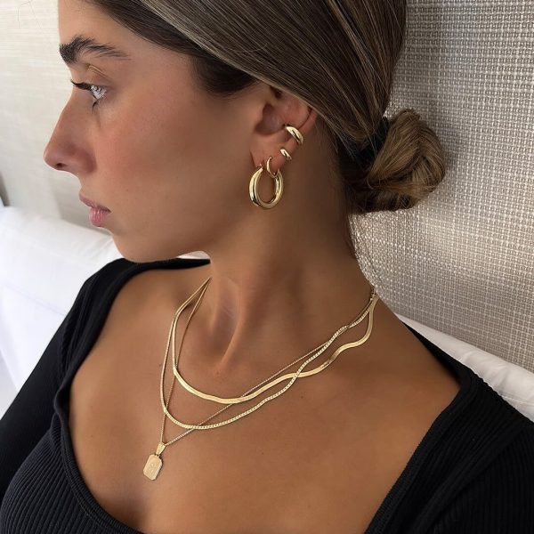 Tommy Earrings Hoops