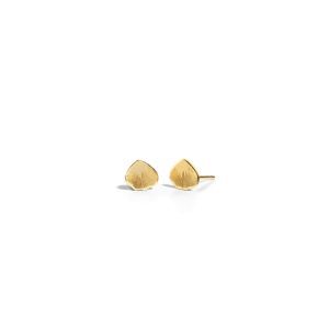 Shell Earrings