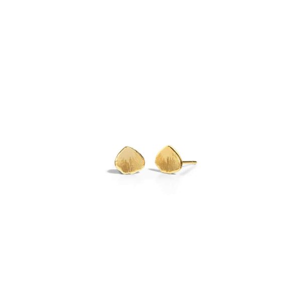 Shell Earrings